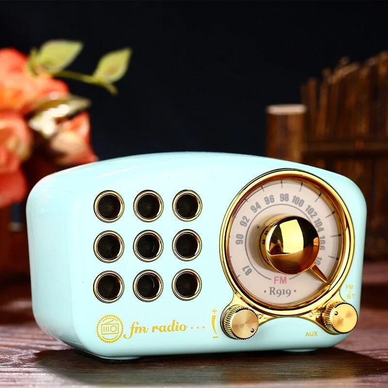 Portable FM Radio