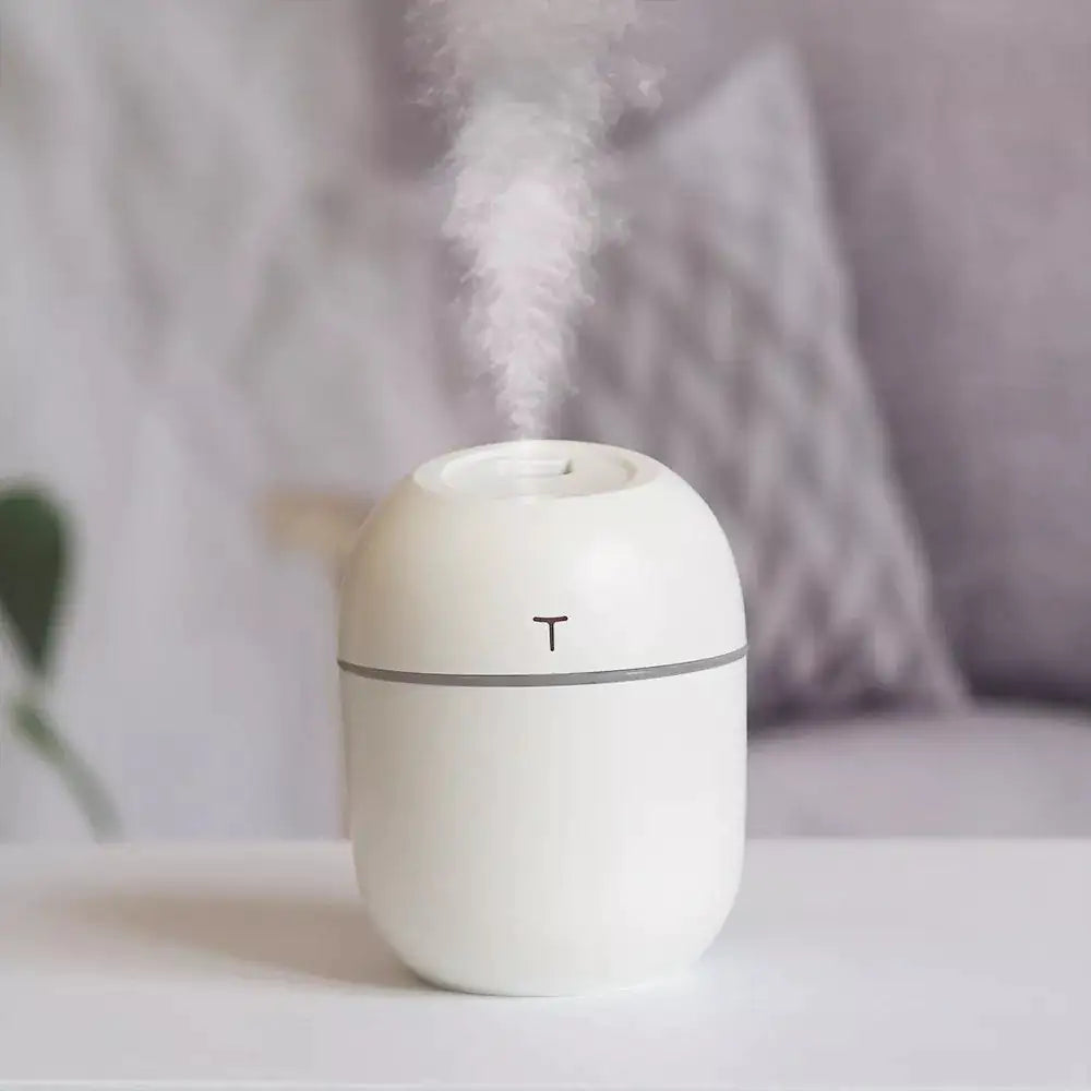 Portable USB Mini Egg Humidifier