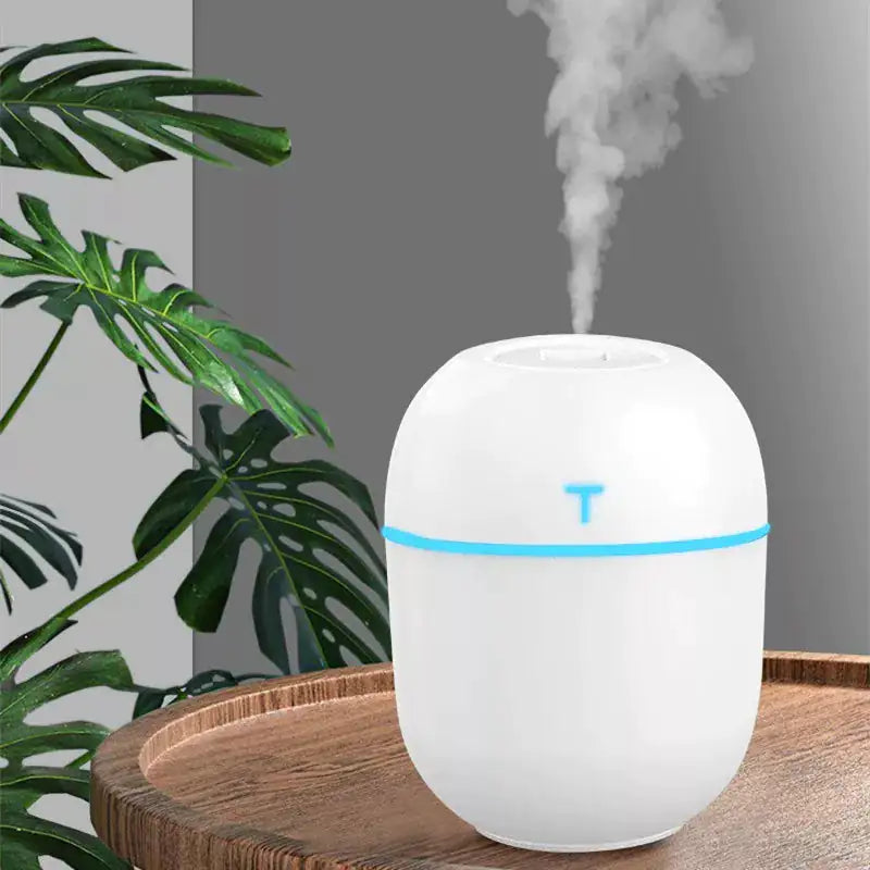 Portable USB Mini Egg Humidifier