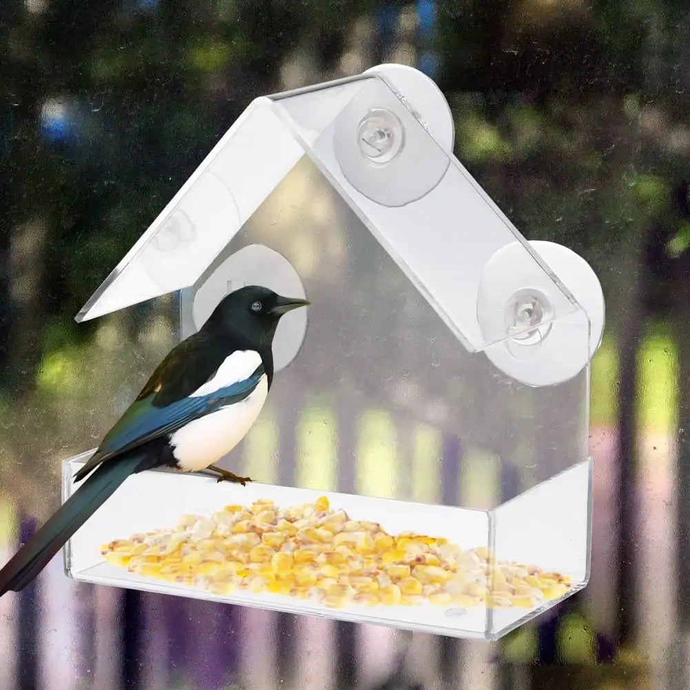 Suction Cup Bird Acrylic Feeder