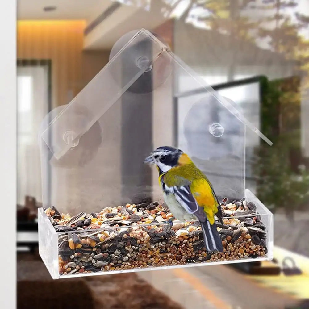 Suction Cup Bird Acrylic Feeder