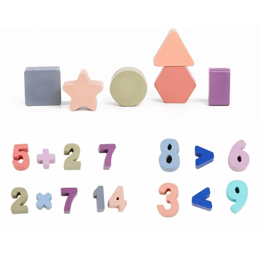 Educational Magnetic Wooden Toy