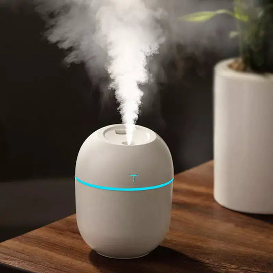 Portable USB Mini Egg Humidifier