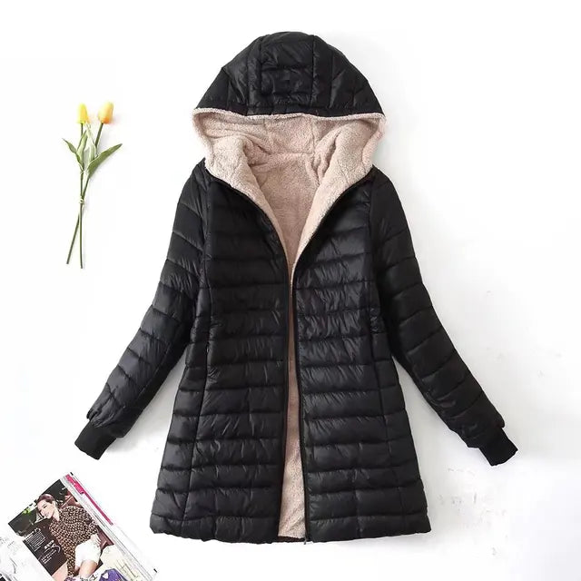 Winter Korean Style Cotton Coat