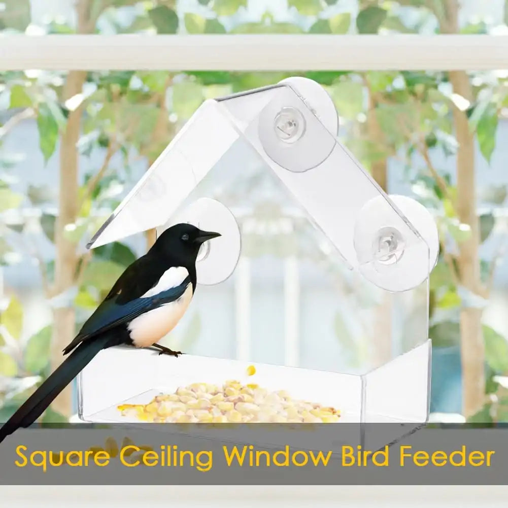 Suction Cup Bird Acrylic Feeder